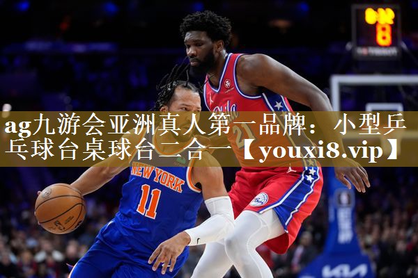 ag九游会亚洲真人第一品牌：小型乒乓球台桌球台二合一