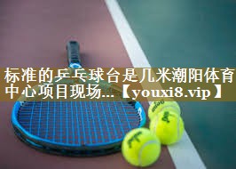 标准的乒乓球台是几米潮阳体育中心项目现场…